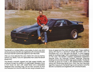 1982 Pontiac Firebird Trans Am Bandit-04.jpg